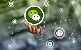 面條營(yíng)銷顧問 運(yùn)用互聯(lián)網(wǎng)技術(shù)，四種打通渠道的策略詳解